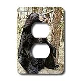 Wild animals - Black Bear - Light Switch Covers - 2 plug outlet cover