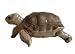 Hagen-Renaker - Desert Tortoise