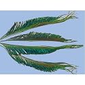 Turrall Peacock Sword
