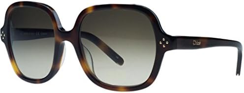 Chlo?? Women's CE631S Sunglasses, Havana