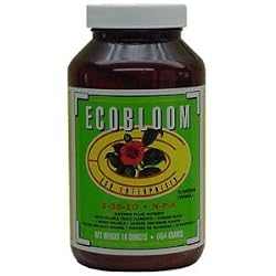 Eco Grow Bloom 16 oz