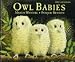 Owl Babies