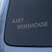 AMY WINEHOUSE - Vinyl Car Decal Sticker #A1579 | Vinyl Color: Silver Image