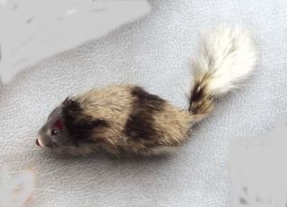 Ethical Cat Door Bouncing Mouse - 2427