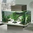 Fluval Edge Aquarium Set, Pewter, 6-Gallon