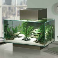 Fluval Edge Aquarium Set, Pewter, 6-Gallon