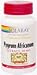 Pygeum Africanum Extract 60 caps
