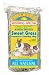 SUNSEED Sweetgrass Hay for Small Animals - 12 Oz