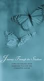Review Paraclete Press  / Journey Through the Shadows: Hope for Healing after Someone You Loved has Committed Suicide