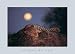 Leopard with Rising Moon - Thom Jamie Art Print Poster 27.5 x