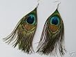 One Pair Natural Feather Peacock Earrings