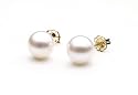 AAA Quality Round 6.5-7mm Akoya SaltWater cultured White Pearl Earrings with 14K Yellow Gold Mount