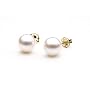 AAA Quality Round 6.5-7mm Akoya SaltWater cultured White Pearl Earrings with 14K Yellow Gold Mount