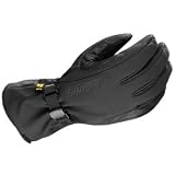 Gordini Vertigo Ski Glove (Men's)
