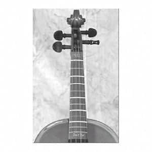 Amazon.com: Don't Fret Finger Position Markers for Violin and Viola (44 ...
