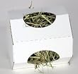 Peter's Rabbit Hay Tumbler