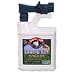 Garlic GP Lawn Fungicide RTS