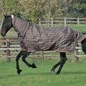 Mark Todd Lightweight Combo Turnout Rug-6'0'' Moss Green Plaid