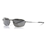 Animal Sunglasses - Raid Sunglasses - Gunmetal / Bronze Titanite