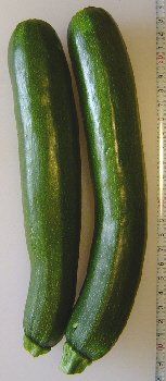 千葉産 有機ズッキーニ　1本