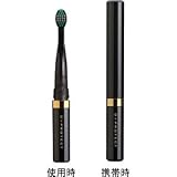 Hero Green 携帯用音波振動歯ブラシ　メタリックブラックD+PROTECT(ディプロテクト) HD100-K