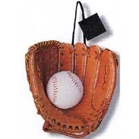 Softball Gift Bag