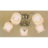 �ۑP �V�����f���A 6~8���p GEM-6660C