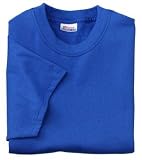 Hanes Heavyweight 50/50 - 50/50 Cotton/Poly T-Shirt Royal-3XL