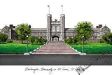 Washington University, St. Louis Lithograph 14x10 Unframed Lithograph