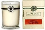 Archipelago Botanicals Signature Series Soy Wax Candle Collection Mango Tangerine