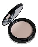 Too Faced Absolutely Invisible Translucent Powder
