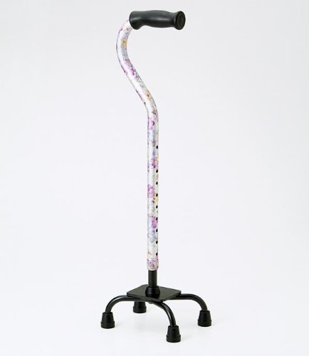 健肝秋ウコン粒 360粒,国外代购,日本商品代购