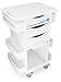 TrippNT 51007 High Density Polyethylene/ABS Core DX Multi Tasking Storage Lab Cart with 3" Rubber Casters, 174lbs Capacity, 23" Width x 34.5" Height x 17.5" Depth, 6 Shelves