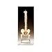 Vertebral Column Orthotic Small (Anterior : 6