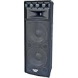 PYLE DUAL 12" DV PRO CABINET