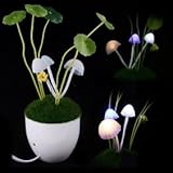Solar Mushroom Lamp - Avatar Plant Flowers Night Light