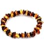 Baltic Multicolor Amber Stretch Bracelet Length 8"