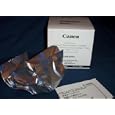Canon Printhead QY6 0064 for i560, iP3000, i850, MP700, MP730 Printers by Canon