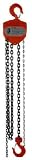 1 Ton Chain Hoist 10 