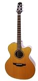 Takamine Pro Series ETN20C Jumbo Natural Natural with Case