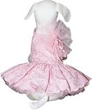 Cha-Cha Couture