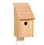 North State Industries 1629 Cedar Bluebird House