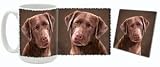 Chocolate Labrador Mug and Coaster Combo (Style 2)