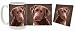   - Chocolate Labrador Mug and Coaster Combo (Style 2)