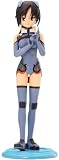 �����������륺 ���Ͳ� �쥮��顼���顼  (1/7��������PVC�����Ѵ�����)