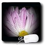 WhiteOak Photography Inspirational Floral Prints - Reflect Inspirational Flower - Mouse Pads