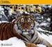 2008 National Geographic Tigers 2008 Wall Calendar **IN STOCK NOW**