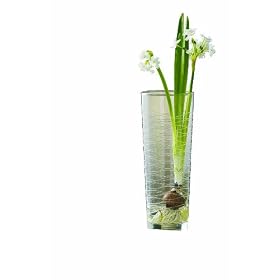Tag Swirl Etched Clear Glass Vase