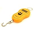 0903 Top Quality Digital Portable Luggage Scale Baggage Scale Suitcase Weigh Scale Fish Scale Fishing Scale Parcel Scale 40KG Precision Scale = No More Excess Baggage Charges - 12 Months Warranty >>> THT Trade