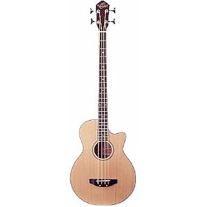 Bass Guitar Acoustic Electric